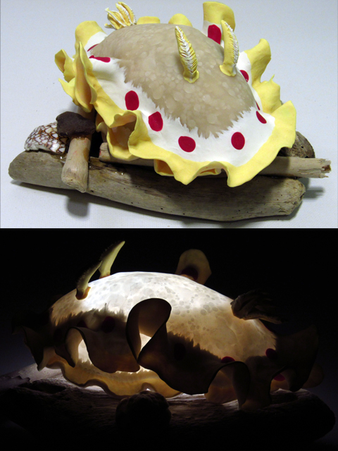 Blood Spot Nudibranch "Ardeadoris Cruenta"