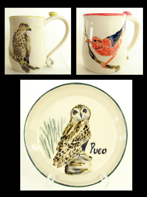 Endemic Birds