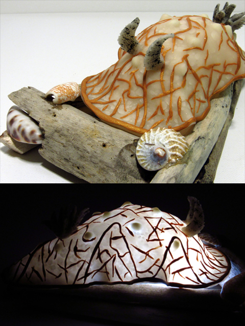 "Gold Lace Nudibranch" Hawaiian Halgerda