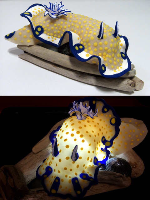 Hawaiian Imperial Nudibranch