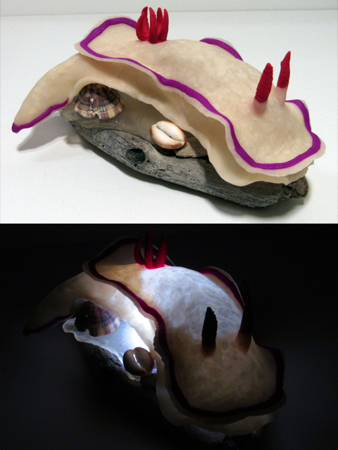 Kahuna Nudibranch Night Light