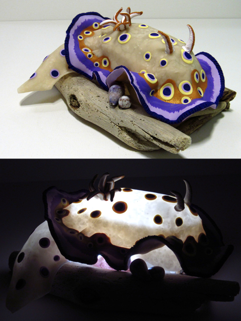 Kune's Chromodoris